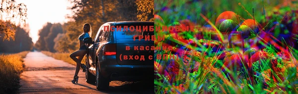 мяу мяу мука Белоозёрский