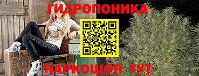 apvp Нальчик