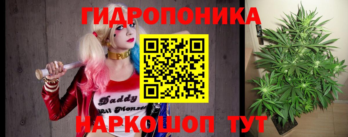 Бошки Шишки Великий Устюг