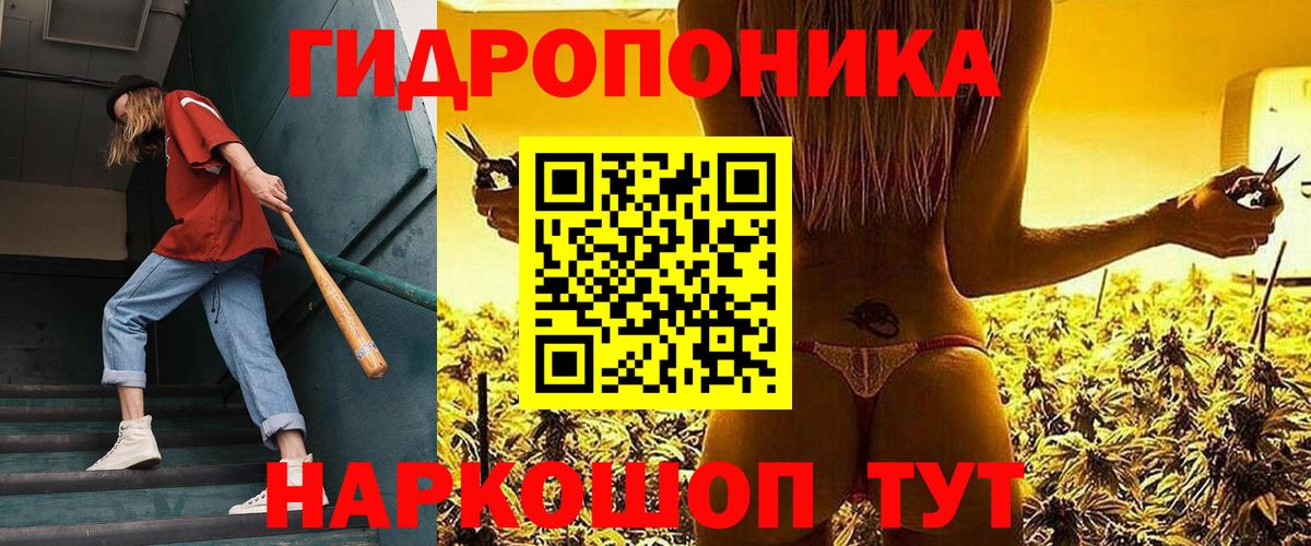 Великий Устюг  Каннабис AK-47  Вход с VPN  МАРИХУАНА конопля  Шишки марихуана тримм 